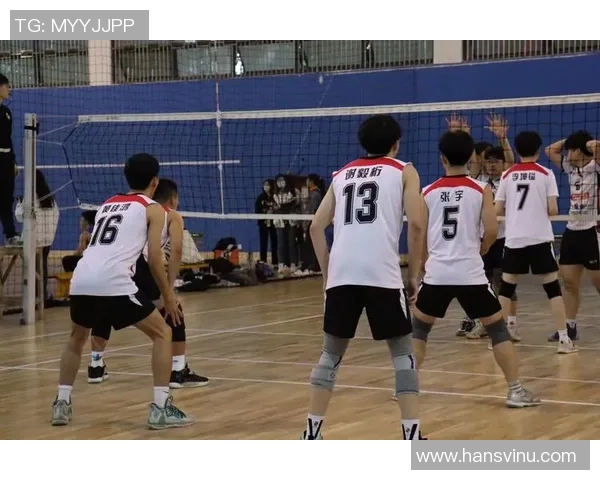 南京排球队实力强劲荣登全国第七名展现出色竞技水平与团队合作精神